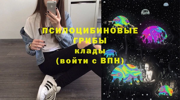 экстази Заводоуковск
