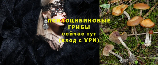крисы Заволжье