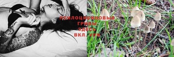 метадон Зеленокумск