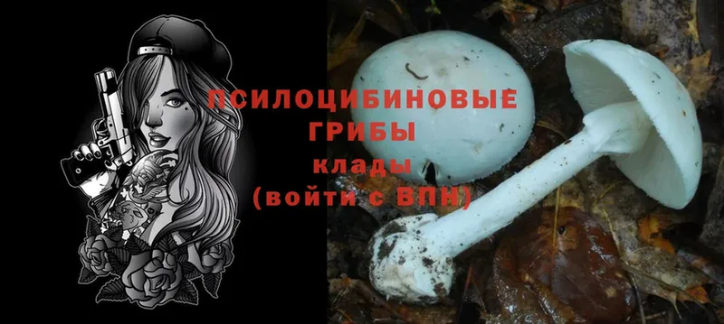 где найти   hydra как войти  Псилоцибиновые грибы Psilocybine cubensis  Саранск 